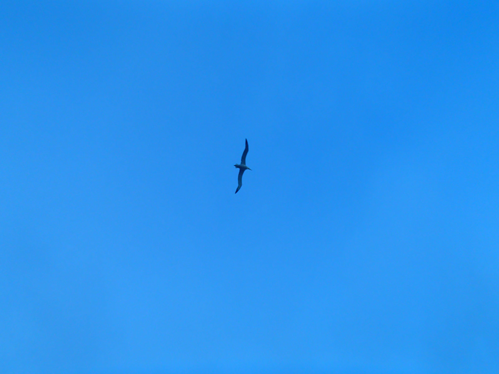 séance Annales Akashiques